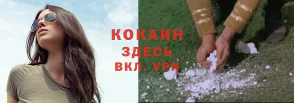 ALPHA PVP Семёнов