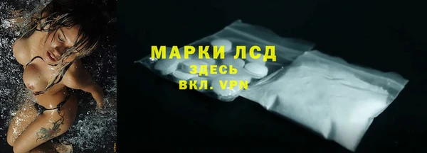 сатива Армянск