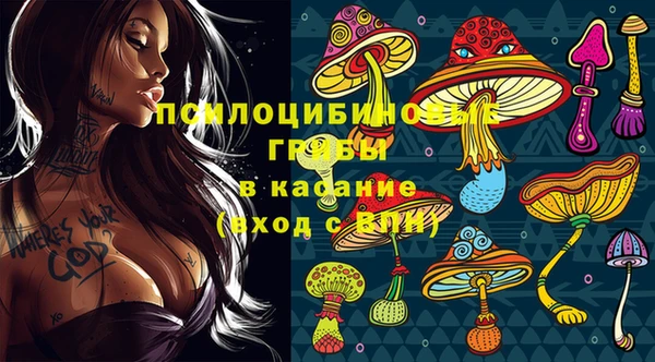 сатива Армянск