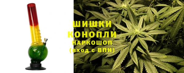 сатива Армянск