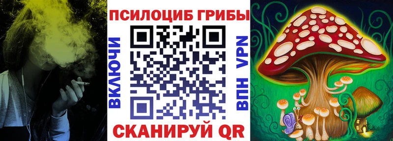Псилоцибиновые грибы MAGIC MUSHROOMS  продажа наркотиков  Калтан 